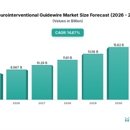 neurointerventional-guidewire-comprehensive-market-study-trends-and-predictions-2026-2034