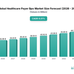 global-healthcare-payer-bpo-market-2026-2034-overview-trends-competitor-dynamics-and-opportunities