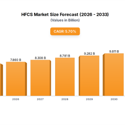 hfcs-insightful-analysis-trends-competitor-dynamics-and-opportunities-2025-2033