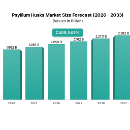 psyllium-husks-analysis-2026-and-forecasts-2033-unveiling-growth-opportunities