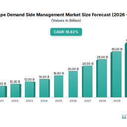 europe-demand-side-management-market-decade-long-trends-analysis-and-forecast-2025-2033